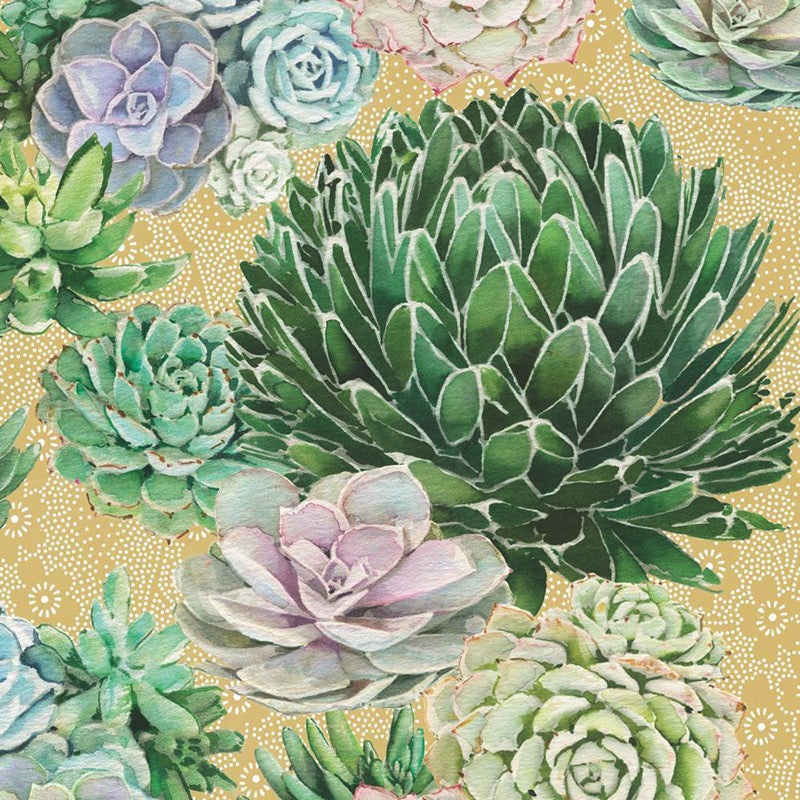 Succulents Paper Bevrage Napkins
