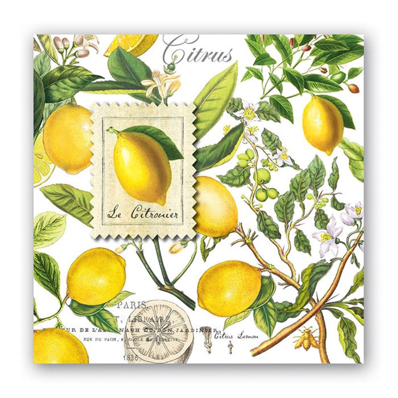 Lemon Basil Cocktail Napkin