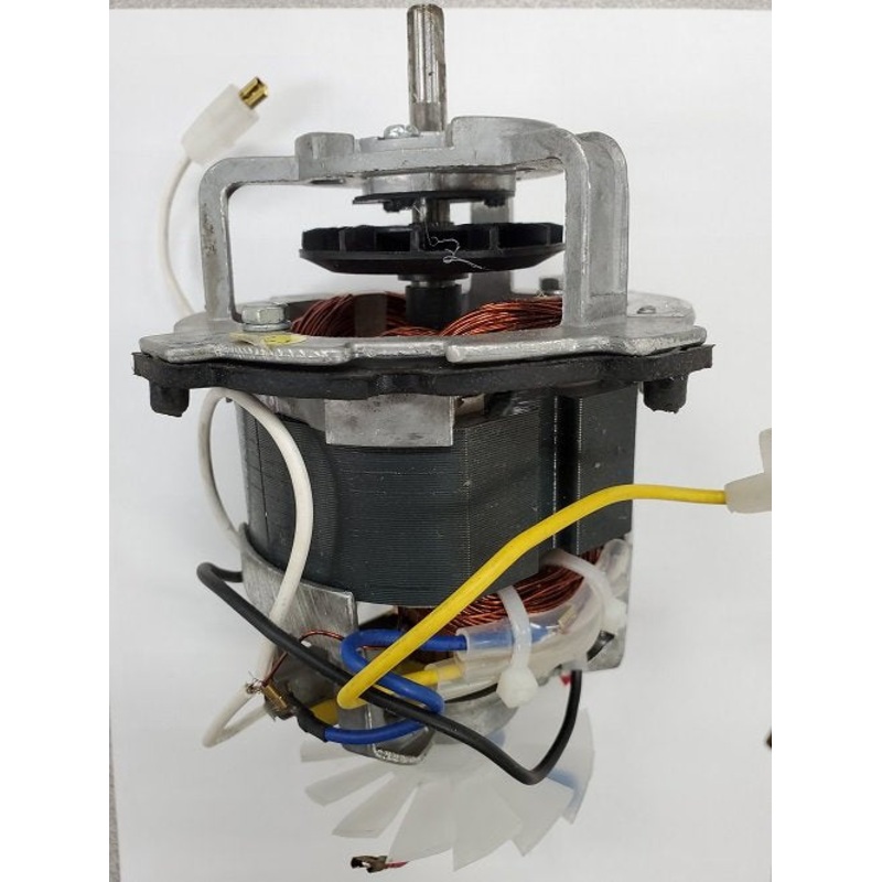 Blue Leaf Motor 110v