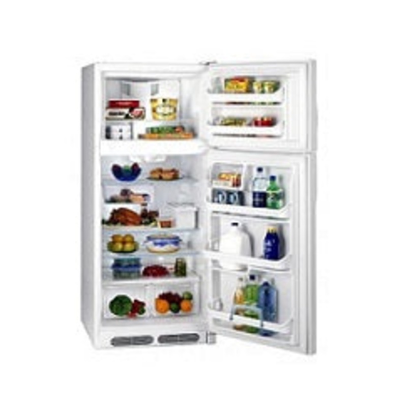 Frigidaire FGTD18V4GW 18 Cu Ft. Top Mount Refrigerator 220V