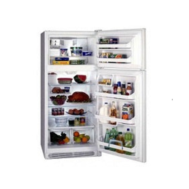 Frigidaire FGTD20V4GW/MW Refrigerator 220V