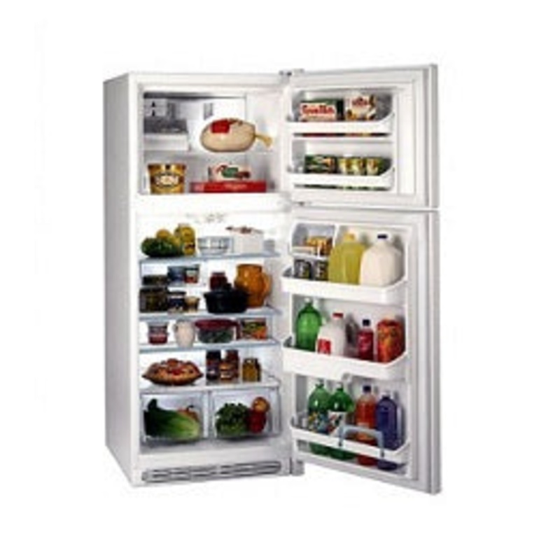 Frigidaire FGTD23V6GW Top Mount Refrigerator 220V