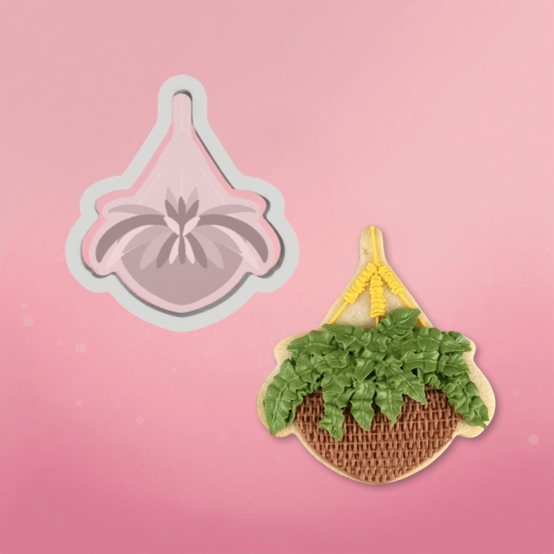 Hanging Potted Plant