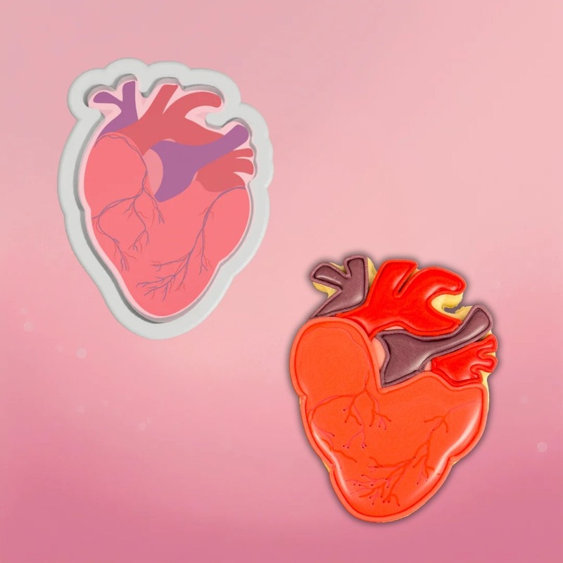 Anatomical Heart Cookie Cutter