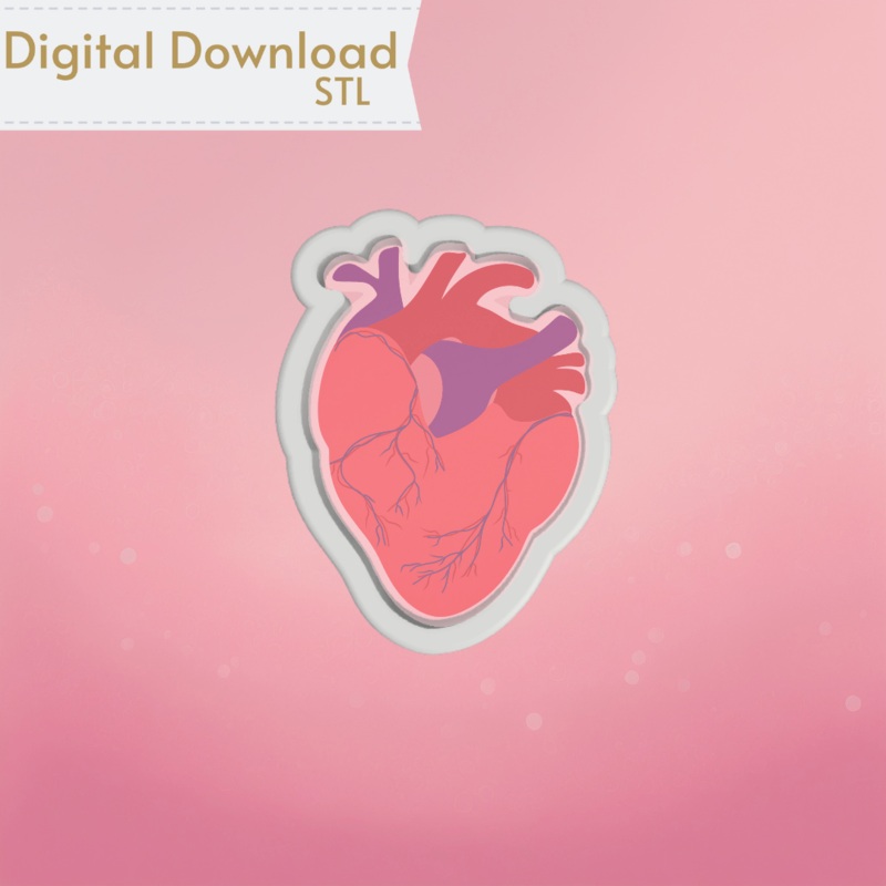 Anatomical Heart Cookie Cutter STL