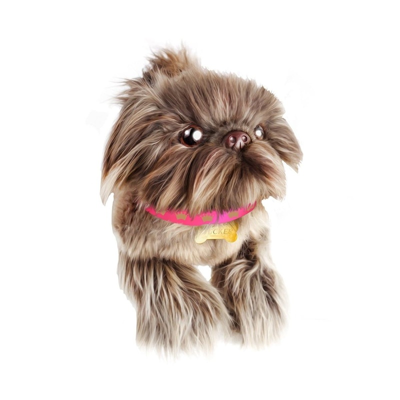 Tucker the Shih Tzu Stuffed Animal