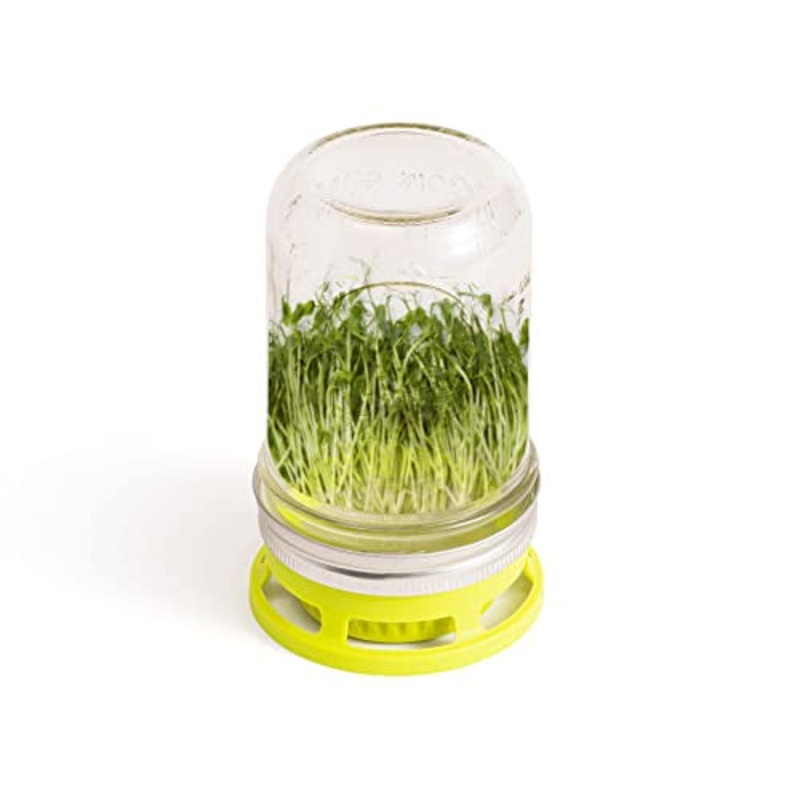 Seed Sprouter Lid, Set of 2 82746